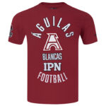 Tee Cardinal Aguilas Arch-2